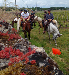 France-Bordeaux-Bordeaux Wine & Castles Trails